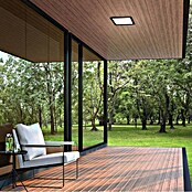 Briloner Plafón LED para exterior Frankfurt (8 W, L x An x Al: 190 x 190 x 28 mm, Negro, IP44) | BAUHAUS