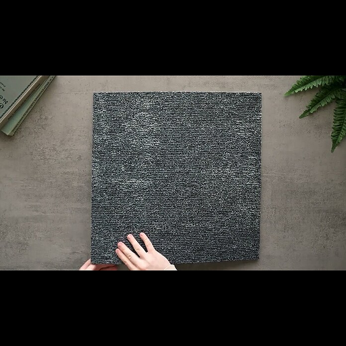 Teppichfliese Explore (50 x 50 cm, Schlinge, 100 % Polypropylen, Basalt) | BAUHAUS