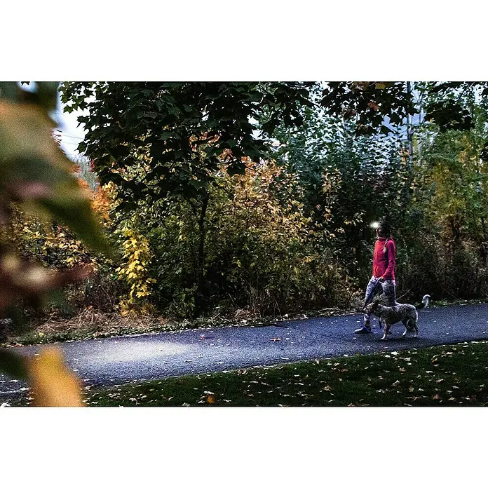 Ledlenser Stirnlampe HF4R Core - 500 lm, IP68 - Eine Person trägt eine helle Stirnlampe beim Spaziergang mit einem Hund auf einem dunklen Weg in der Dämmerung.
