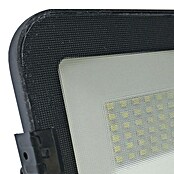 Alverlamp Proyector de LED LQ (30 W, Color de luz: Blanco neutro, IP65, Negro)