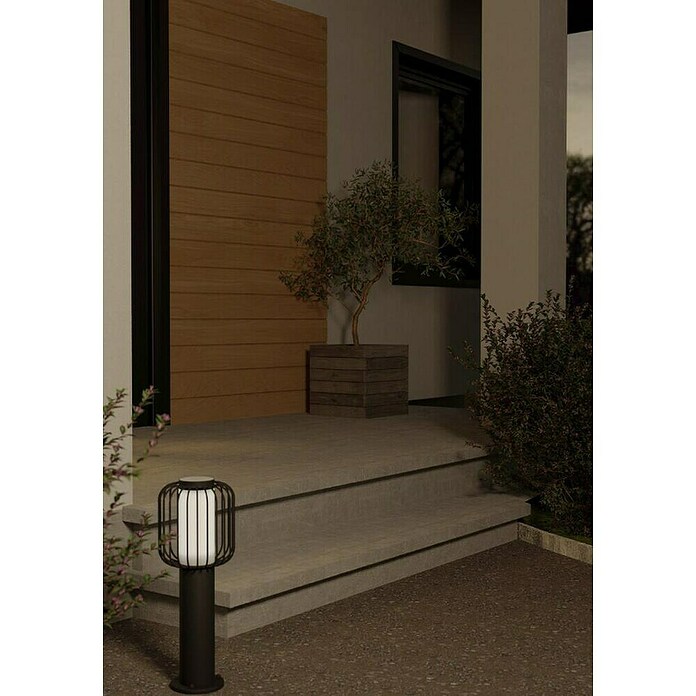 Eglo Ravello Sobremuro (1 luz, 60 W, Altura: 45 cm, Negro)