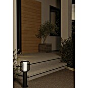 Eglo Ravello Sobremuro (1 luz, 60 W, Altura: 45 cm, Negro)