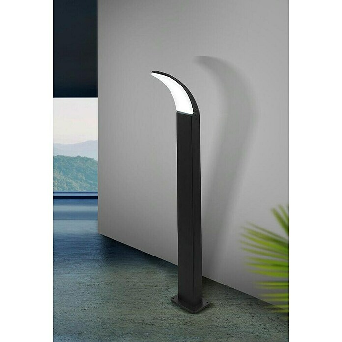 Eglo Baliza exterior LED Fiumicino (1 luz, 11 W, Color de luz: Blanco cálido, IP44, Negro)