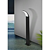 Eglo Baliza exterior LED Fiumicino (1 luz, 11 W, Color de luz: Blanco cálido, IP44, Negro)