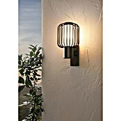 Eglo Ravello Aplique exterior (Ascendente, 60 W, IP44, Negro)