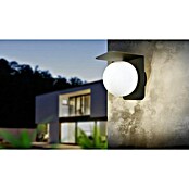 Eglo Aplique exterior Corrientes (15 W, 18 x 18 x 18,5 cm, Negro, IP44) | BAUHAUS