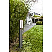 Lutec Sobremuro exterior Qubo (Color del marco: Gris oscuro, RGB, 11 x 9,3 x 75 cm, Con bombillas) | BAUHAUS