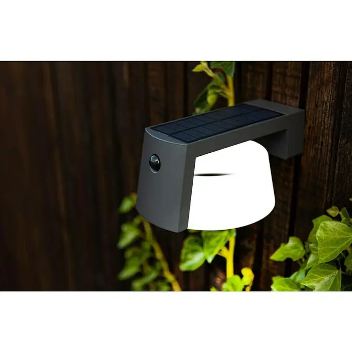 Lutec Solar-Außenwandleuchte Moon - 7,4 W, L x B x H: 21,7 x 16 x 9,6 cm, Anthrazit, IP44, 650 lm - Nahaufnahme einer modernen Solar-Wandleuchte mit Bewegungssensor, montiert an einem Holzzaun und umgeben von Efeu.