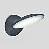 Lutec Aplique exterior LED Tona (1 luz, 9 W, Blanco cálido)