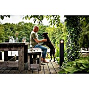 Philips Baliza exterior LED Parterre 77  (Negro, Altura: 77 cm, IP44)
