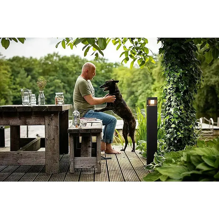 Philips Sobremuro exterior Parterre 77 - 8 W, Color del marco: Negro, Blanco cálido, 10 x 10 x 77 cm, Con bombillas - Un hombre está sentado descalzo en un banco de madera junto a una lámpara de patio mientras su perro salta sobre él.