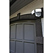 Lutec Aplique exterior con sensor LED Arc (2 luces, Color de luz: Blanco frío)