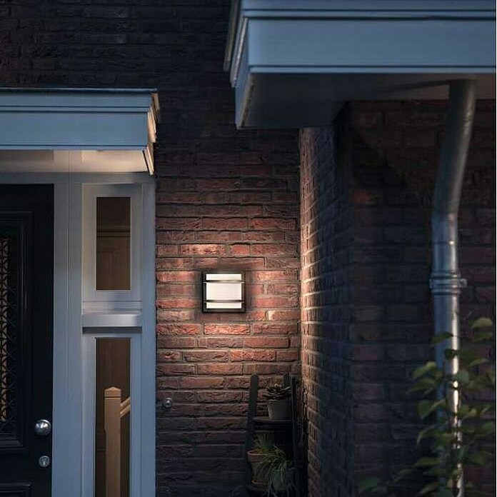 Philips Aplique exterior LED Petronia (1 luz, 12 W, Color de luz: Blanco frío)