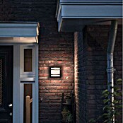 Philips Aplique exterior LED Petronia (1 luz, 12 W, Color de luz: Blanco frío)