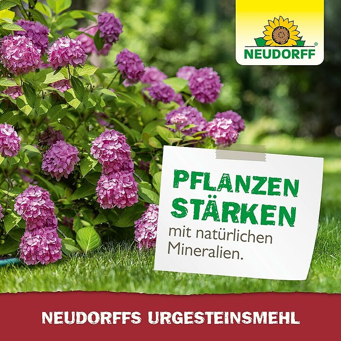 Neudorff Urgesteinsmehl (2,5 kg) | BAUHAUS
