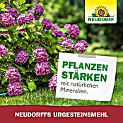 Neudorff Urgesteinsmehl (2,5 kg) | BAUHAUS
