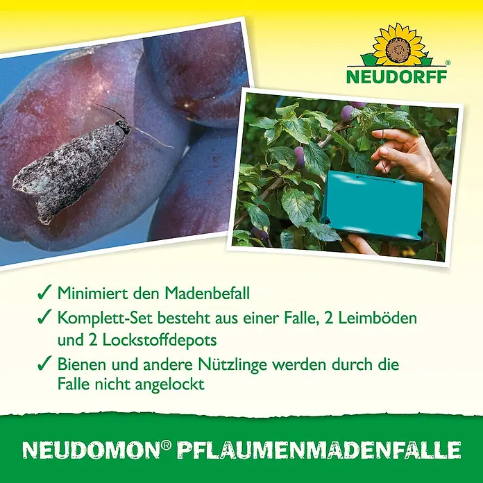 Neudorff Neudomon Pflaumenmaden-Falle - Wirkungsdauer: 6 Wochen, 1 Stk. - Produktbild der NEUDORFF NEUDOMON® Pflaumenmadenfalle. Sie minimiert den Madenbefall ohne Bienen anzulocken. Komplett-Set mit Falle, Leimböden und Lockstoffdepots.