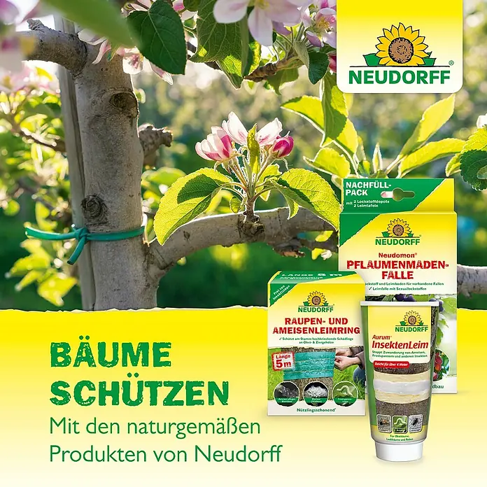 Neudorff Neudomon Pflaumenmaden-Falle - Wirkungsdauer: 6 Wochen, 1 Stk. - Neudorff Produkte zur Schädlingsbekämpfung an Bäumen: Raupen- und Ameisenleimring, InsektenLeim, Pflaumenmaden-Falle und Nachfüllpack.