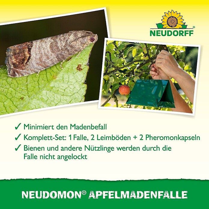 NEUDOMON APFELMADEN FALLE
