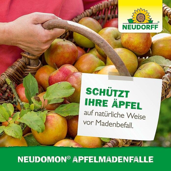 NEUDOMON APFELMADEN FALLE