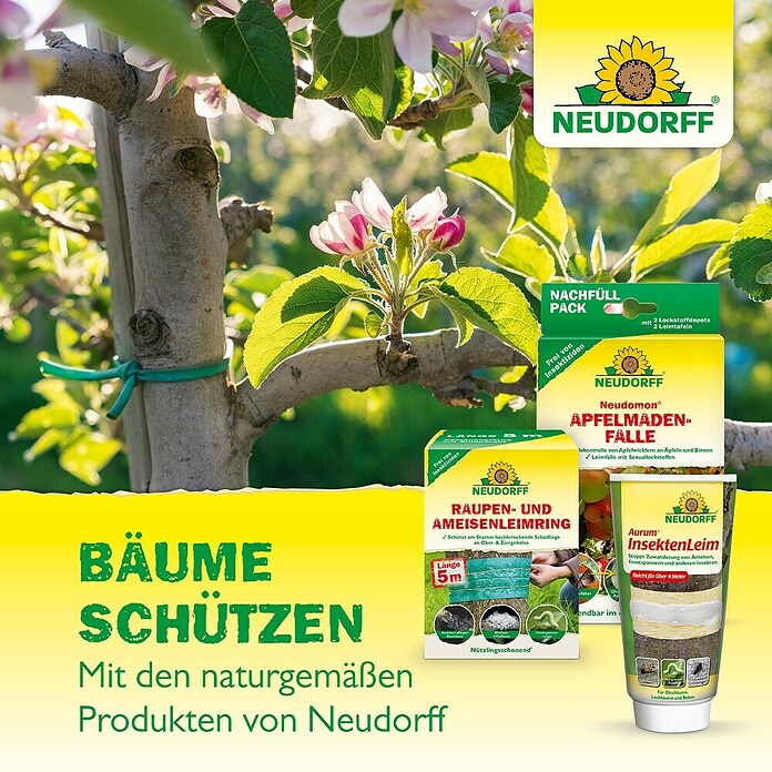 NEUDOMON APFELMADEN FALLE