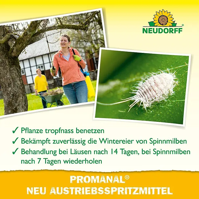 Neudorff Promanal Austriebsspritzmittel Neu - Nettovolumen: 500 ml - Frau sprüht Bäume mit NEUDORFF PROMANAL® Neu Austriebsspritzmittel gegen Schädlinge, um ihre Pflanzen gesund zu halten.