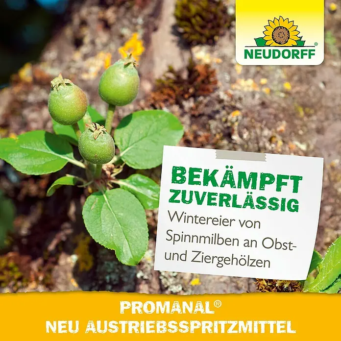 Neudorff Promanal Austriebsspritzmittel Neu - Nettovolumen: 500 ml - Neudorff Promanal Neu Austriebsspritzmittel bekämpft zuverlässig Wintereier von Spinnmilben an Obst- und Ziergehölzen.