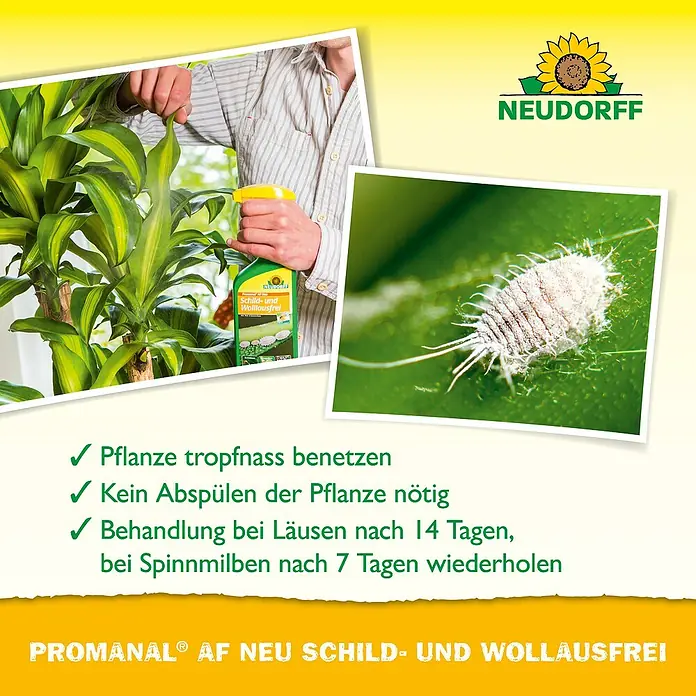 Neudorff Promanal Schild- & Wolllausfrei - 500 ml - Pflanzenschutzmittel von Neudorff gegen Schild- und Wollläuse.