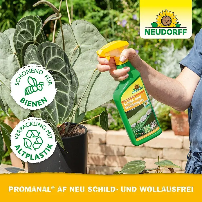 Neudorff Promanal Schild- & Wolllausfrei - 500 ml - Spritzmittel von Neudorff gegen Schild- und Wollläuse. Bienenschonend und Verpackung aus Altplastik.