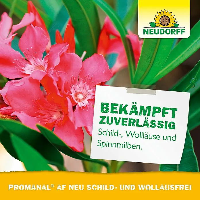 Neudorff Promanal Schild- & Wolllausfrei - 500 ml - Nahaufnahme des Neudorff Schädlingsbekämpfungsmittels mit pinkfarbenen Blüten und grünen Blättern im Hintergrund.