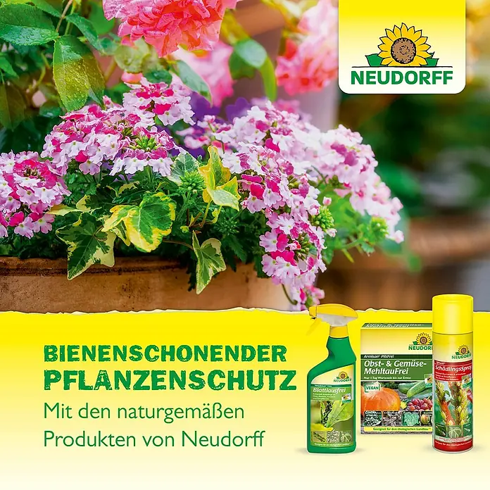 Neudorff Promanal Schild- & Wolllausfrei - 500 ml - Neudorff Pflanzenschutzmittel: Bienenschonender Schutz für Pflanzen mit natürlichen Produkten gegen Blattläuse, Mehltau und Schädlinge.