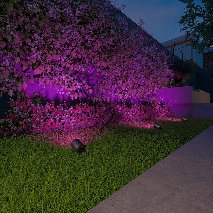 Calex Led-tuinspotset (Hoogte: 24 cm, IP44, 9 W) | BAUHAUS