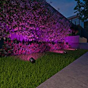 Calex Led-tuinspotset (Hoogte: 24 cm, IP44, 9 W) | BAUHAUS