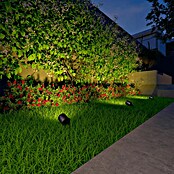Calex Led-tuinspotset (Hoogte: 24 cm, IP44, 9 W) | BAUHAUS