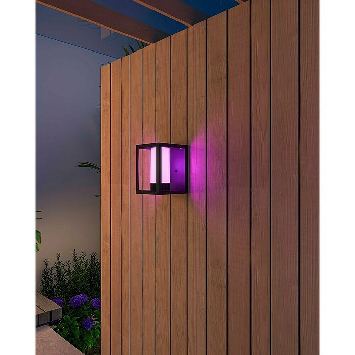 Calex Led-wandlamp voor buiten (l x b x h: 17,2 x 15 x 21 cm, IP54, 4 W) | BAUHAUS