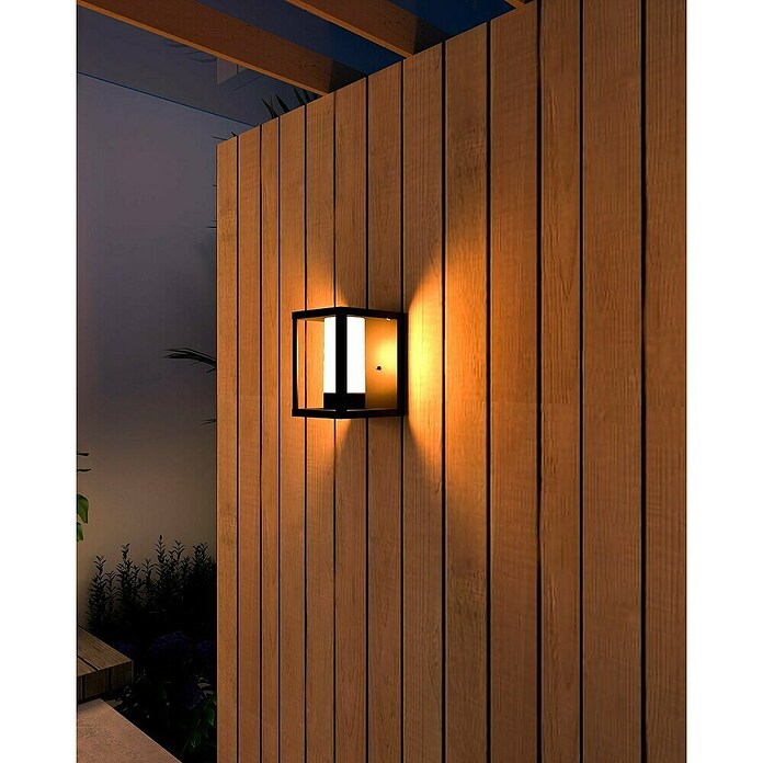 Calex Led-wandlamp voor buiten (l x b x h: 17,2 x 15 x 21 cm, IP54, 4 W) | BAUHAUS