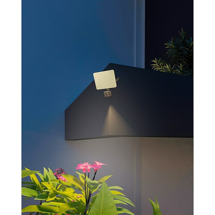 Calex Led-straler met sensor (l x b x h: 16 x 6,3 x 19,2 cm, IP54) | BAUHAUS