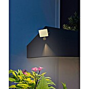 Calex Led-straler met sensor (l x b x h: 16 x 6,3 x 19,2 cm, IP54) | BAUHAUS