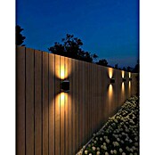 Calex Led-wandlamp voor buiten (l x b x h: 10,5 x 7,6 x 13,8 cm, IP54, 4,4 W) | BAUHAUS