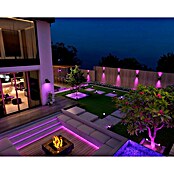 Calex Led-wandlamp voor buiten (l x b x h: 10,5 x 7,6 x 13,8 cm, IP54, 4,4 W) | BAUHAUS