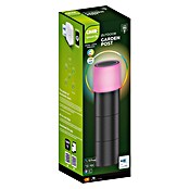 Calex Led-sokkellamp voor buiten (Ø x h: 7,6 x 28 cm, IP54, 9 W) | BAUHAUS