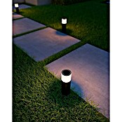 Calex Led-sokkellamp voor buiten (Ø x h: 7,6 x 28 cm, IP54, 9 W) | BAUHAUS
