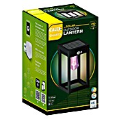 Calex Wandlantaarn voor buiten (l x b x h: 15 x 18 x 27 cm, IP54, 9 W) | BAUHAUS