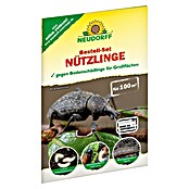 Neudorff Bestellkarte Nützlinge für Großflächen (Geeignet für: Bodenschädlinge, Max. Anwendungsfläche: 100 m²) | BAUHAUS