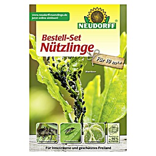 Neudorff Bestellkarte Nützlinge gegen Bodenschädlinge (Geeignet für: Bodenschädlinge, Max. Anwendungsfläche: 10 m²)