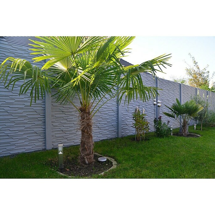 Beckers Betonzaun Zaunelement Standard Murano Motiv (200 x 38,5 cm, Beton, Betongrau) | BAUHAUS