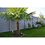 Beckers Betonzaun Zaunelement Standard Murano Motiv (200 x 38,5 cm, Beton, Betongrau) | BAUHAUS