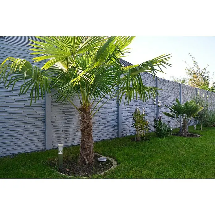 Beckers Betonzaun Zaunelement Standard Murano Motiv - 200 x 38,5 cm, Beton, Betongrau - Ein grüner Garten mit einem markanten Betonsichtschutzzaun, der eine moderne Struktur mit tropischen Palmen kombiniert und Ruhe ausstrahlt.