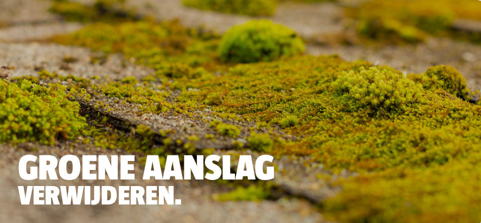 groene-aanslag-tegels