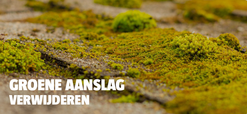 groene-aanslag-tegels